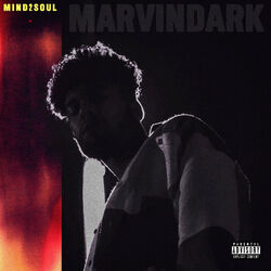 Cover of Mind2soul