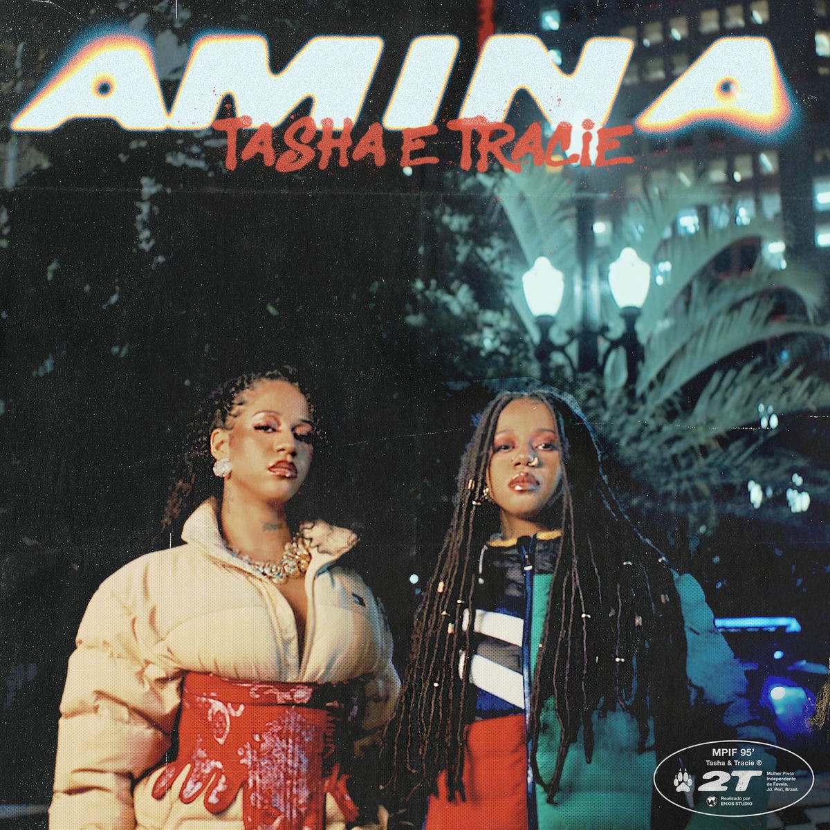 Album cover of Amina