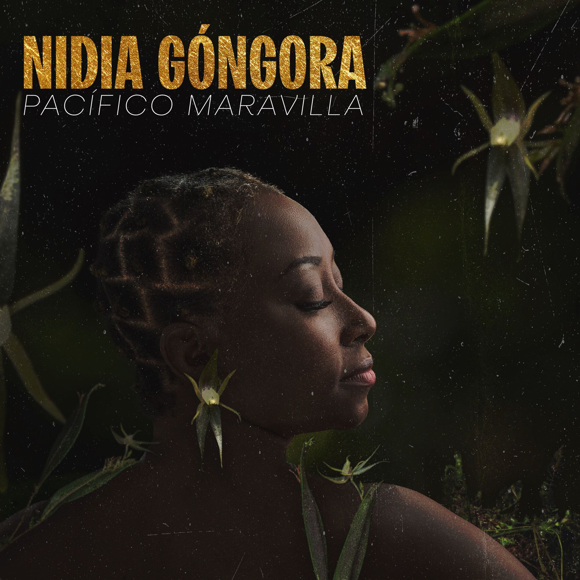 Album cover of Pacífico Maravilla