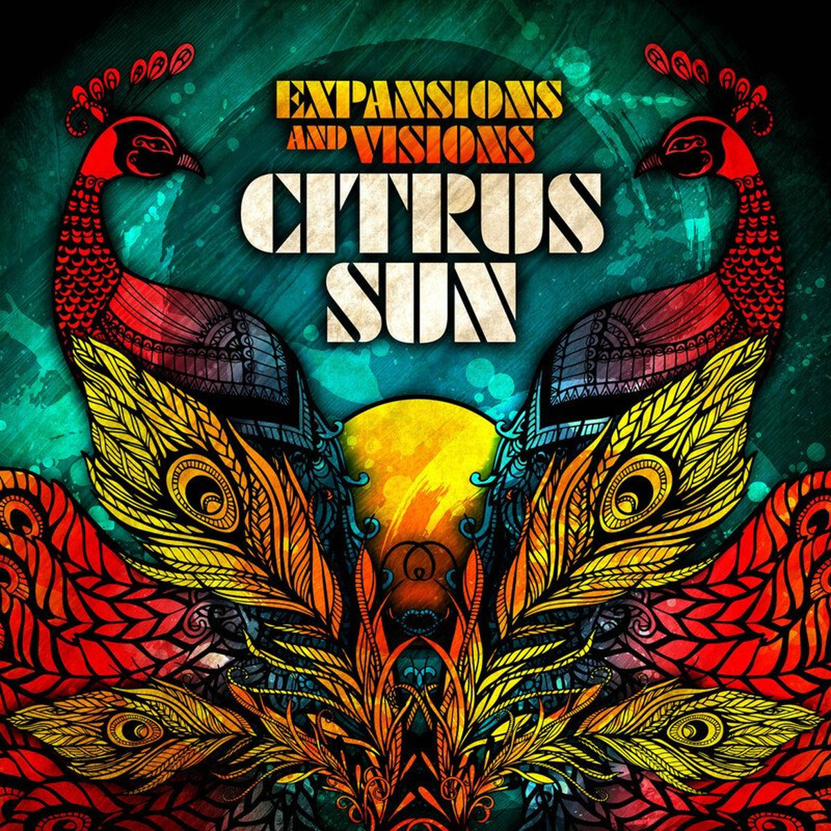 Album cover of Expansions And Visions