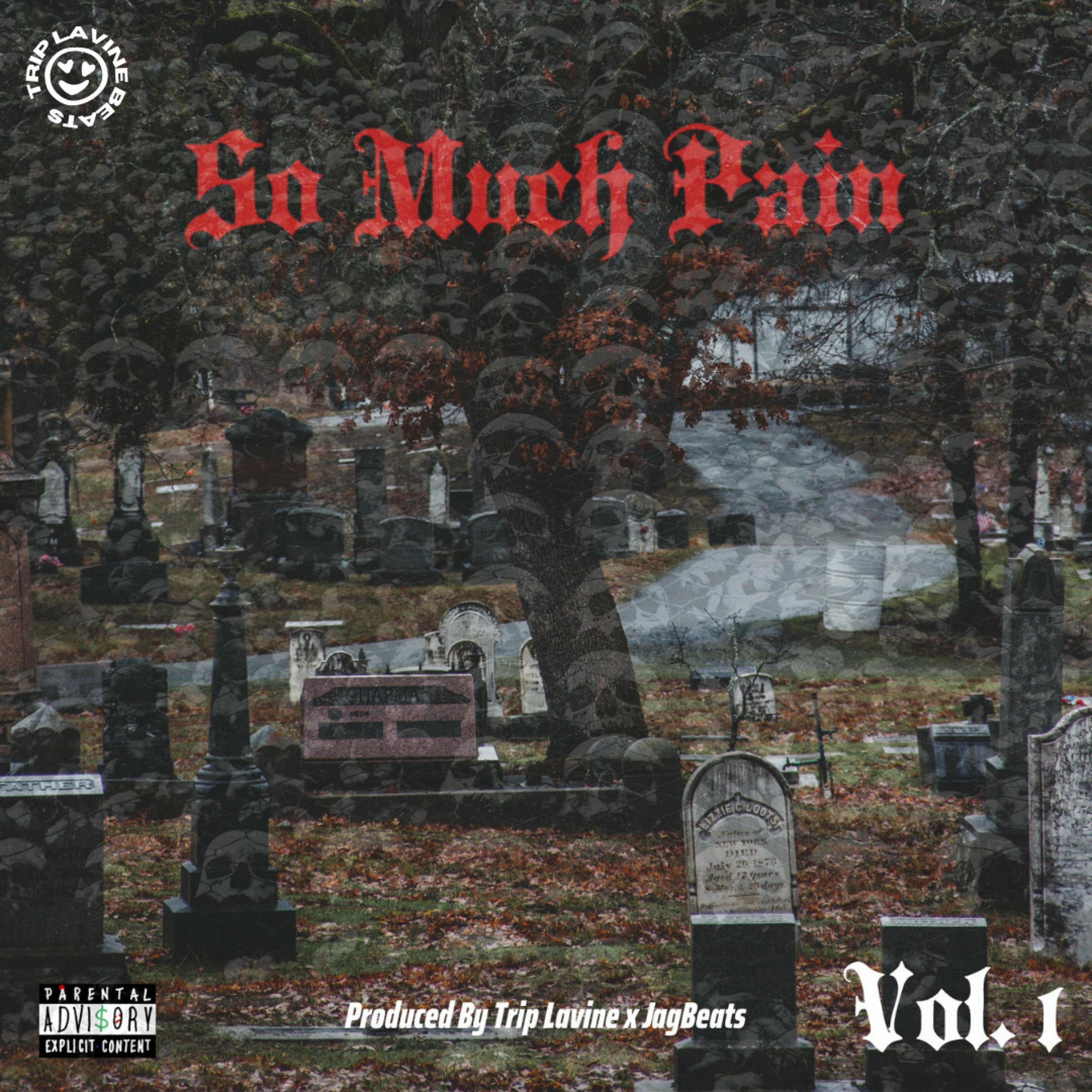 Album cover of So Much Pain, Vol. 1