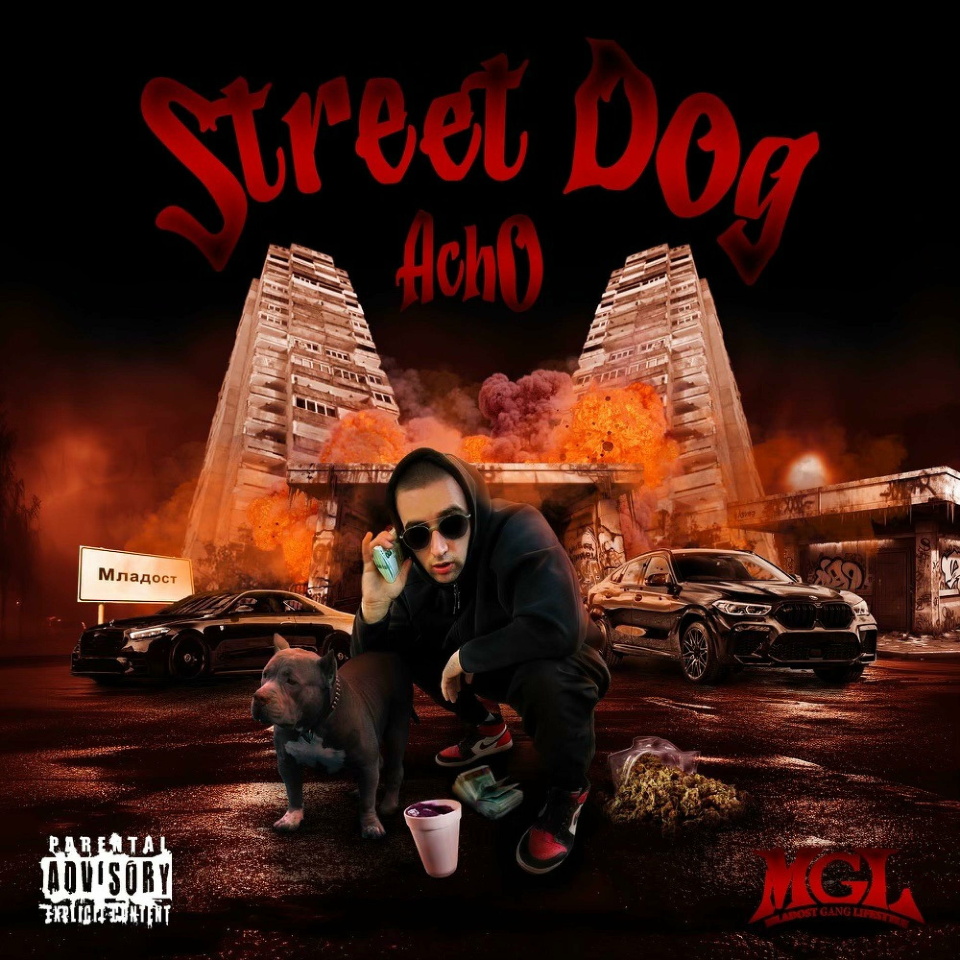 Album cover of Street Dog