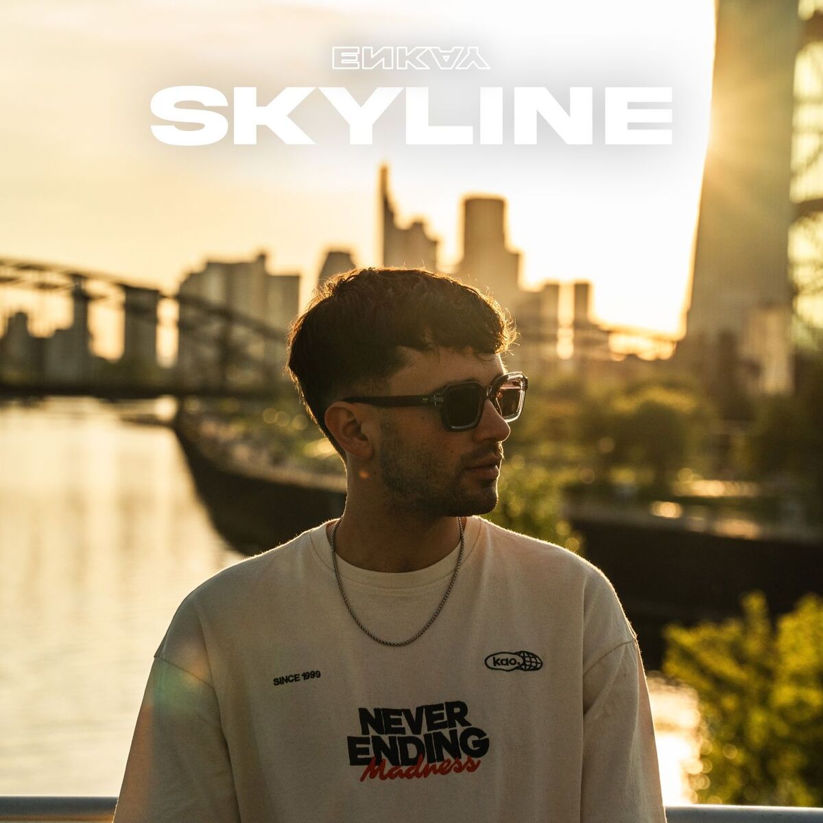 Album cover of Skyline