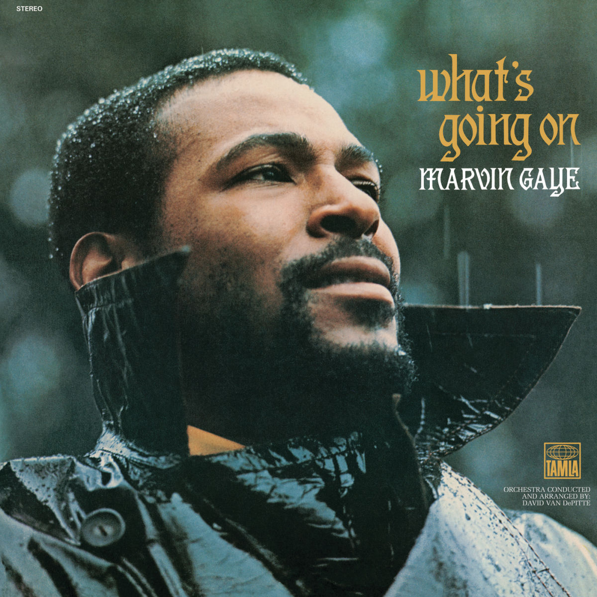 Album cover of What's Going On