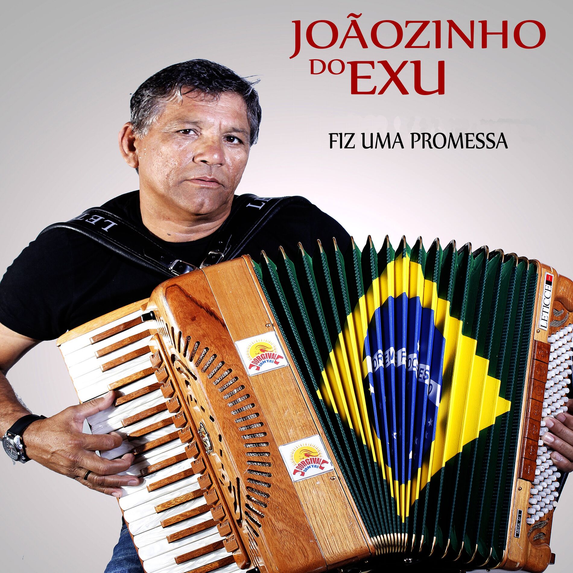 Album cover of Fiz Uma Promessa
