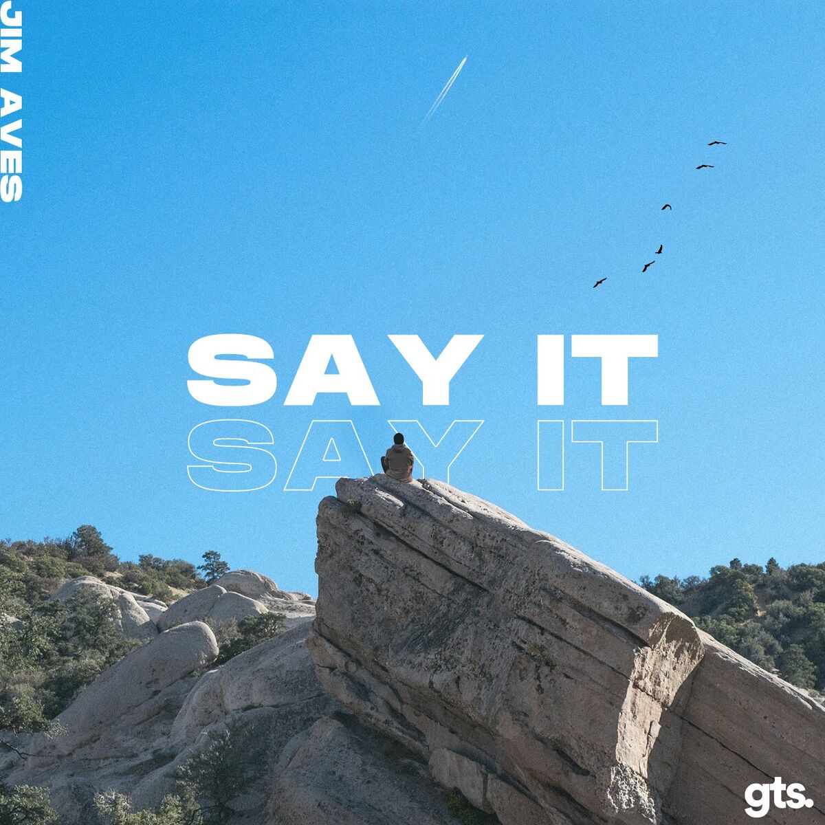 Album cover of Say It