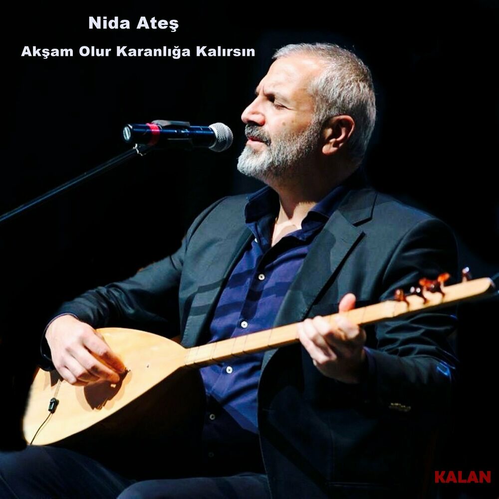 Picture of Akşam Olur Karanlığa Kalırsın