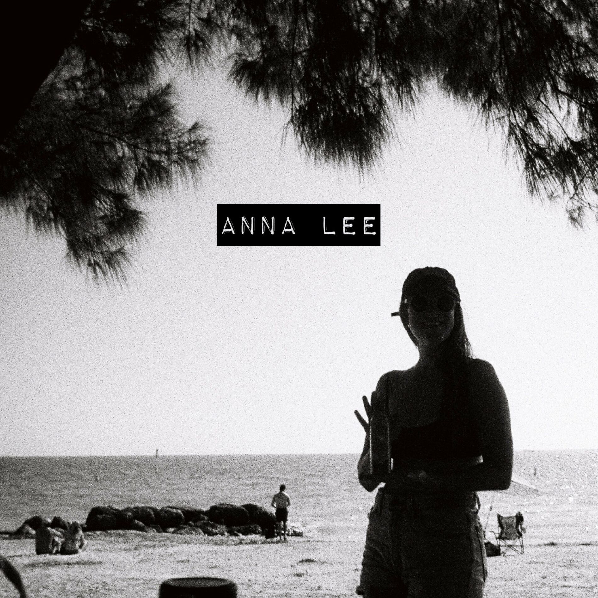 Album cover of Anna Lee