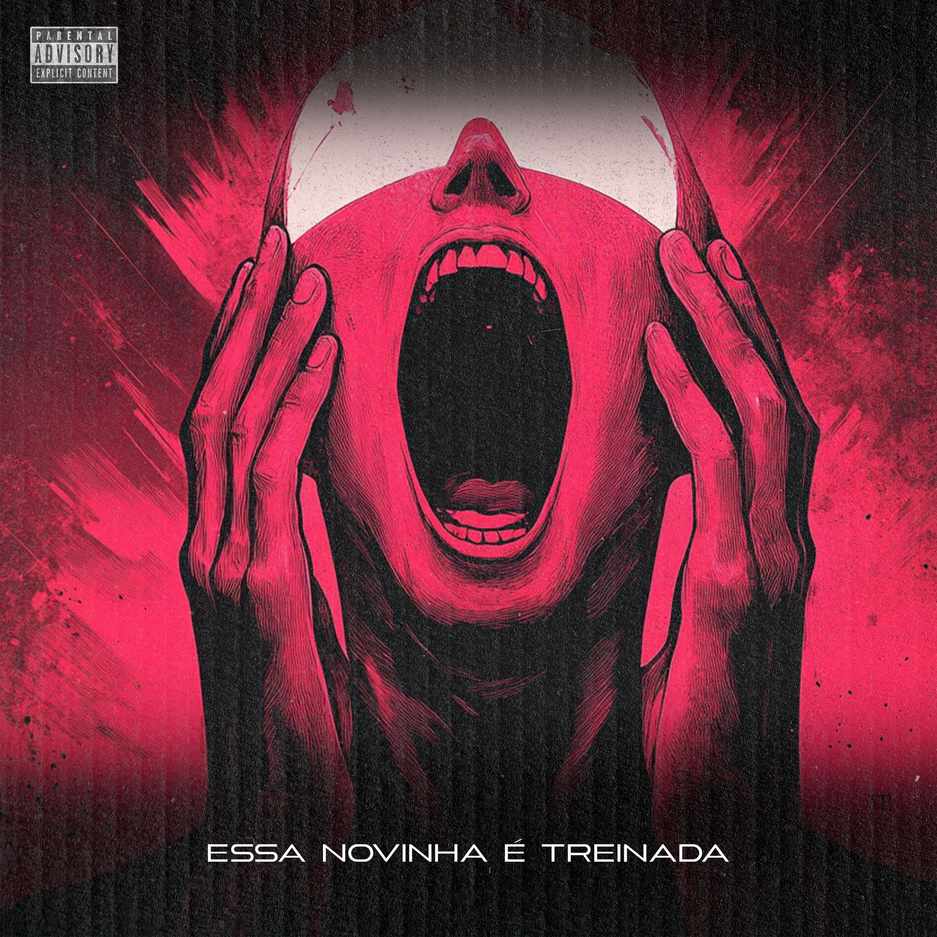 Album cover of Essa Novinha e Treinada