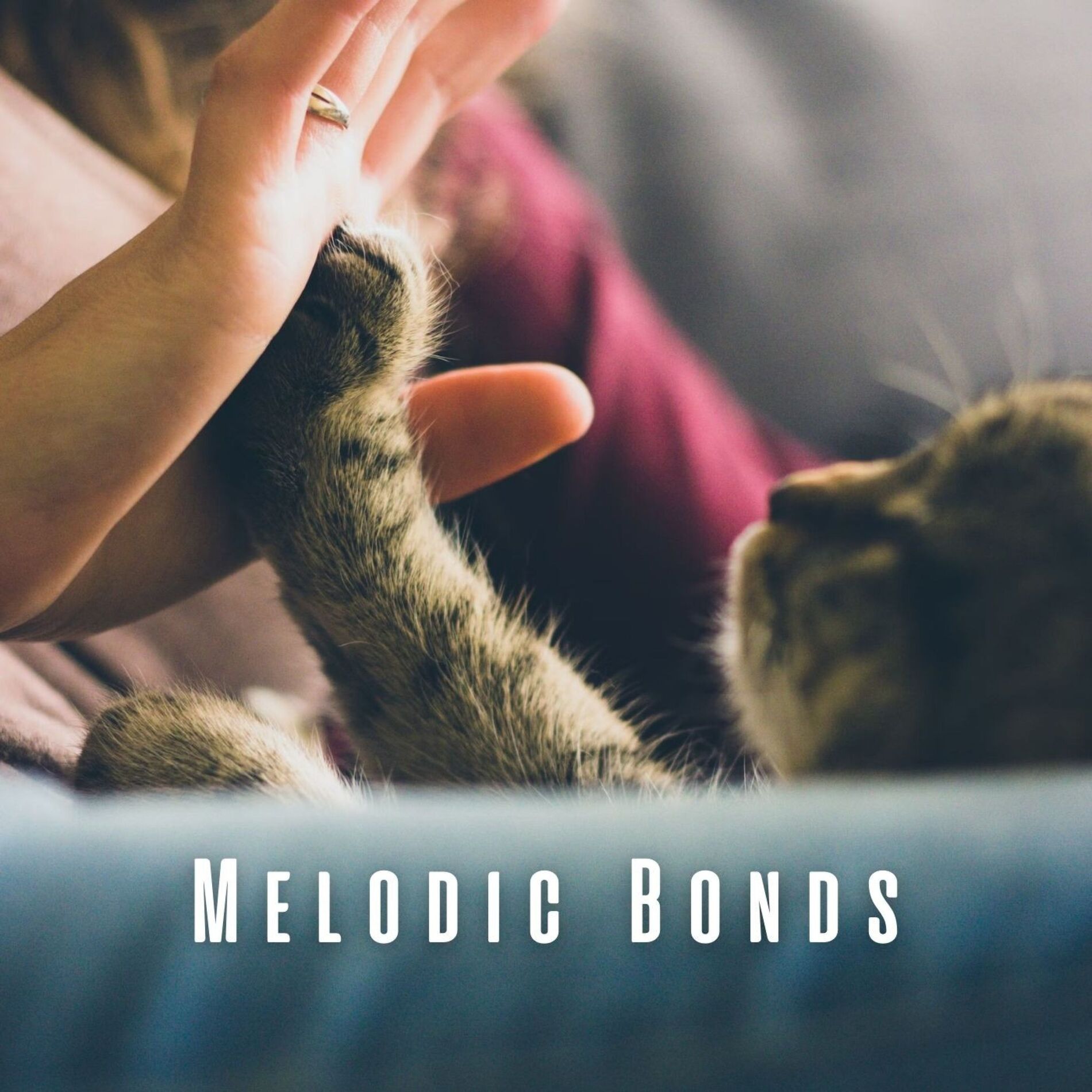 Album cover of Melodic Bonds: Music for Deep Connection with Pets
