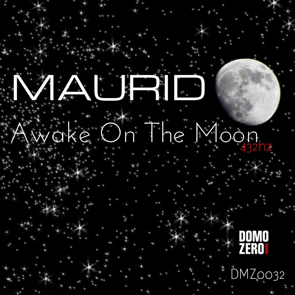 Picture of Awake On The Moon