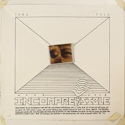 Cover of Incomprensible
