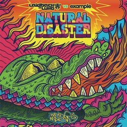 Cover of Natural Disaster