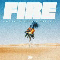 Cover of Fire