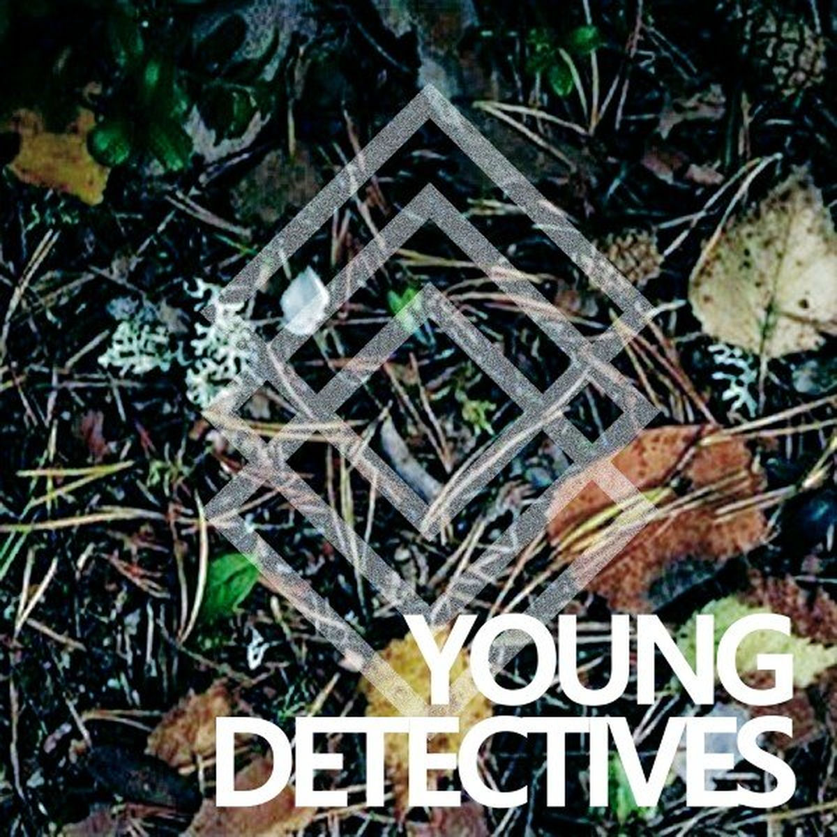 Album cover of Young Detectives