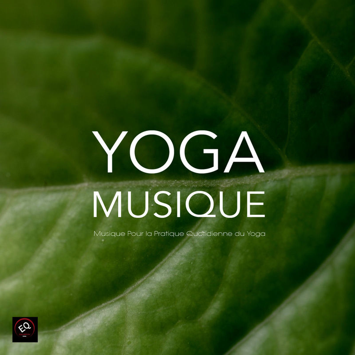 Album cover of Yoga Musique - Musique pour la Pratique Quotidienne du Yoga