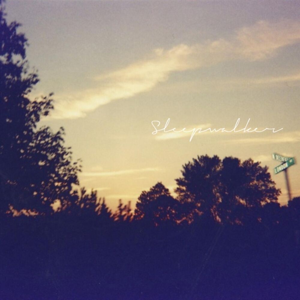 Picture of Sleepwalker