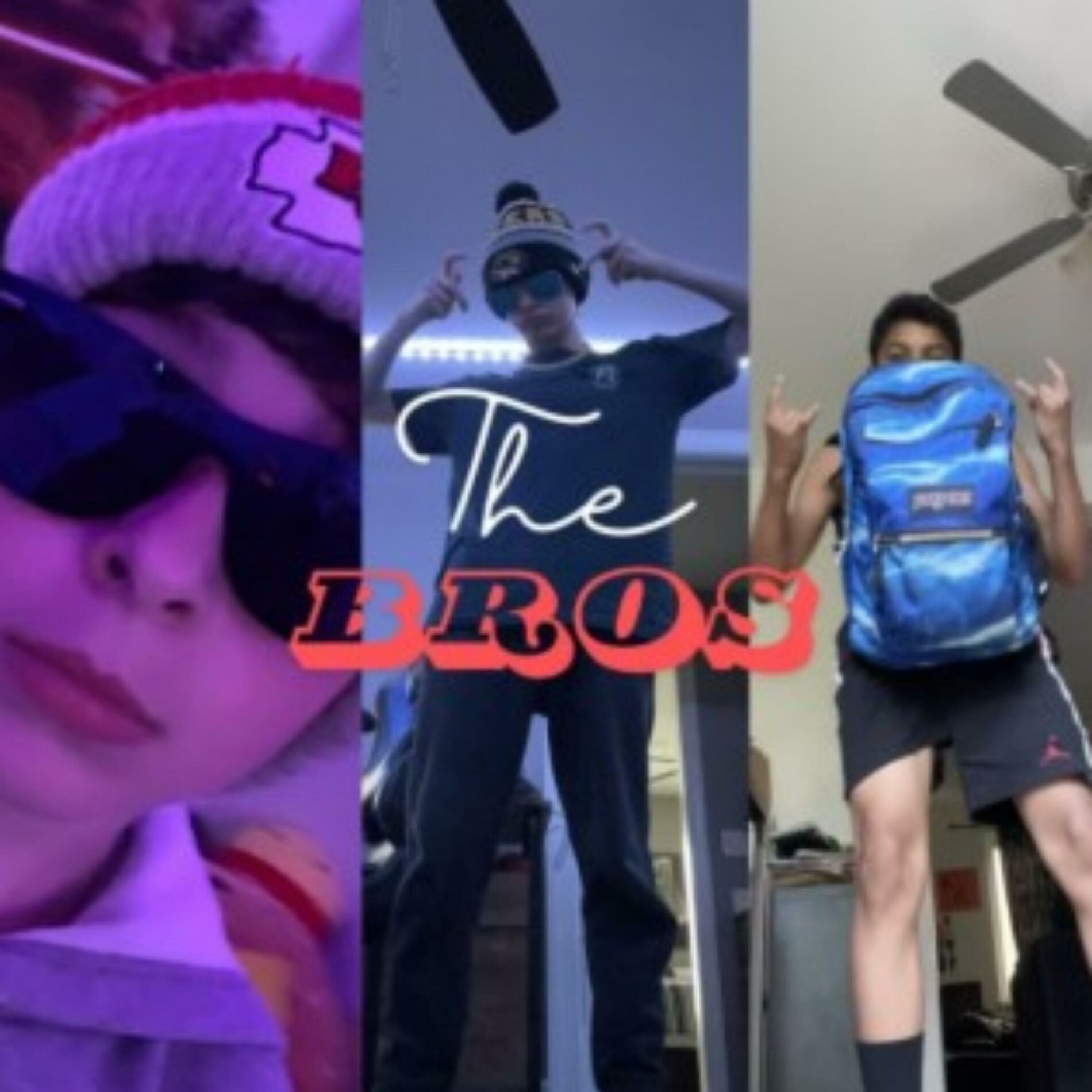 Album cover of The Bros