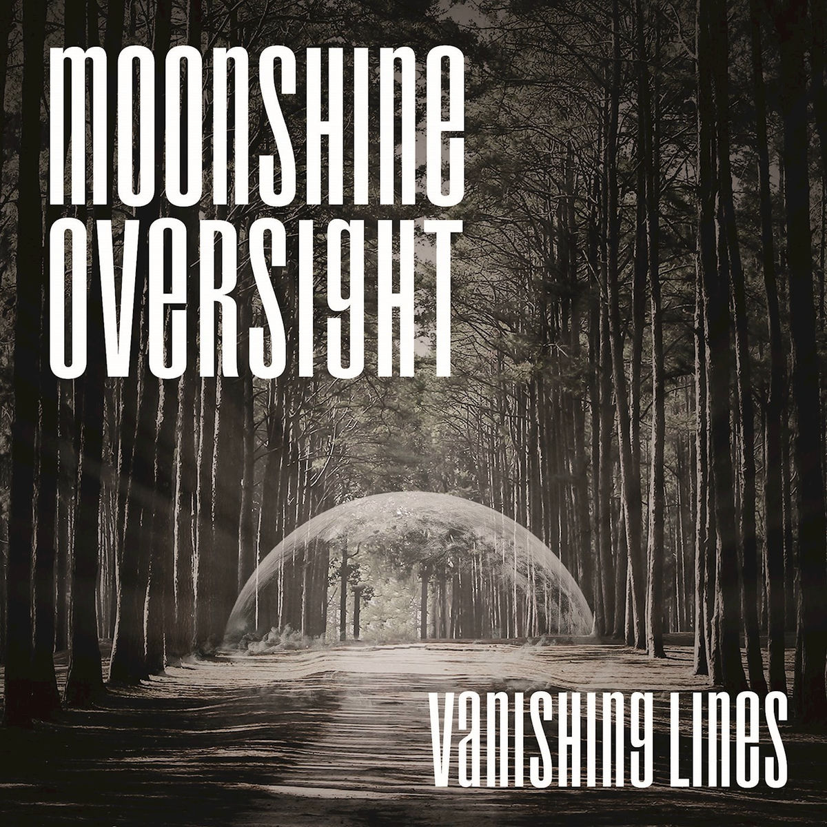 Album cover of Moonrise