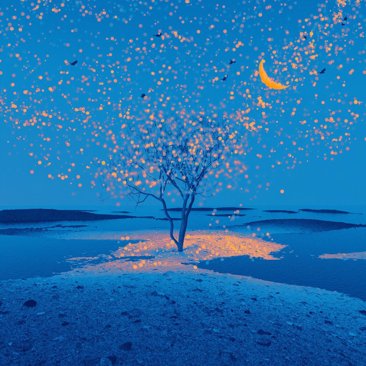 Album cover of stories from the sea