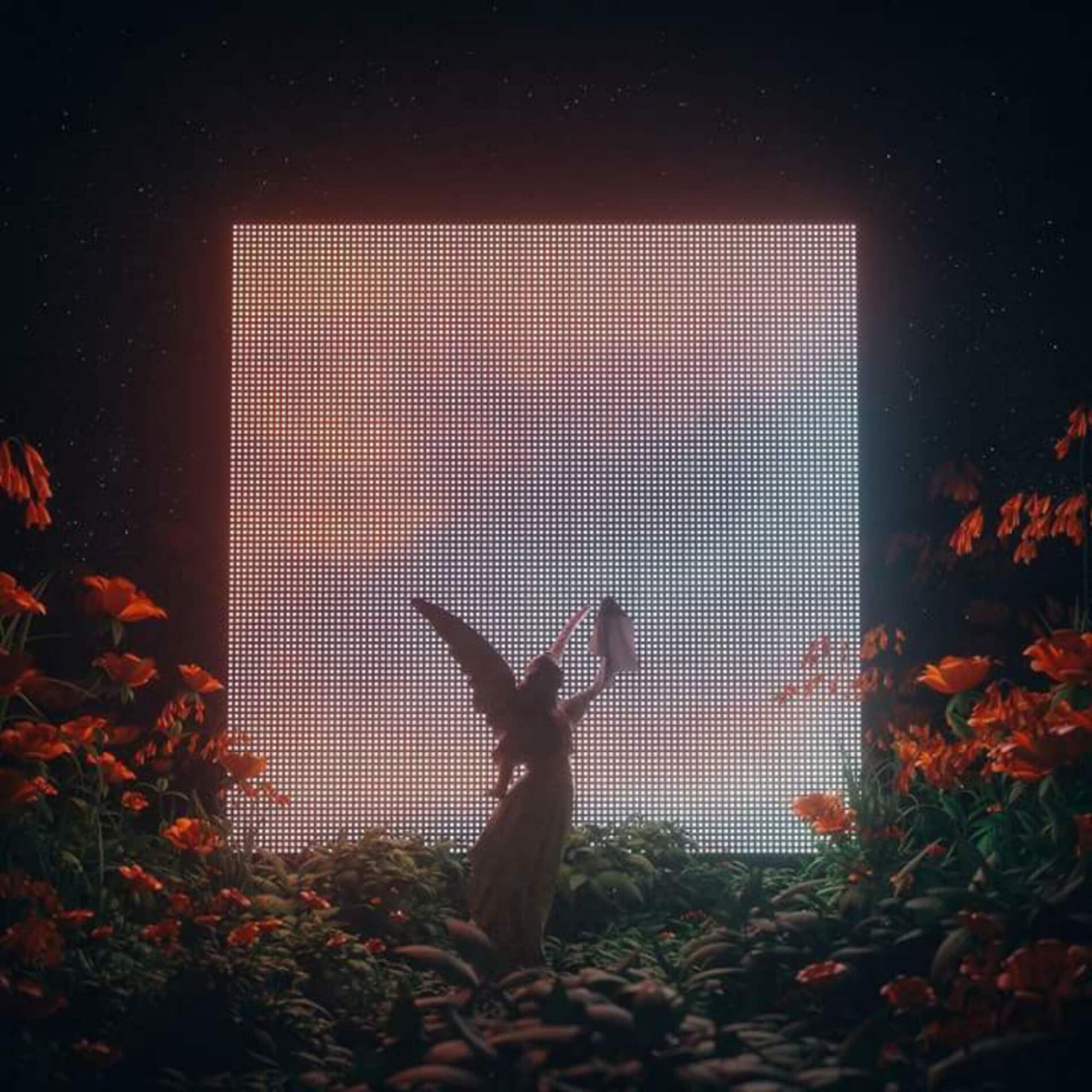 Album cover of W E A R Y