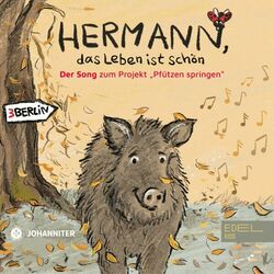 Cover of Hermann, das Leben ist schön