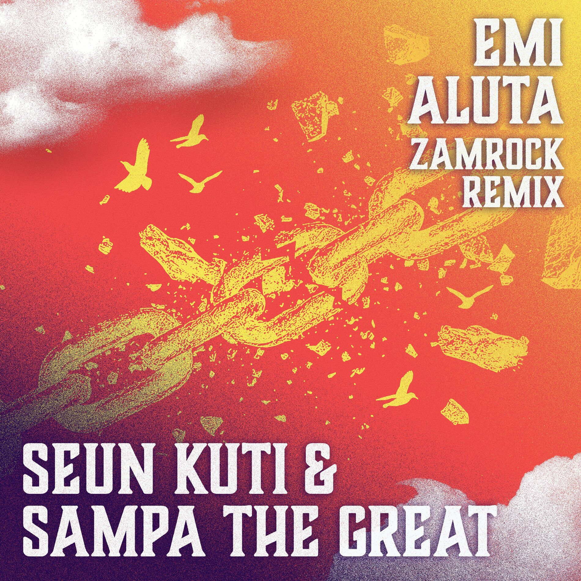 Album cover of Emi Aluta (Zamrock Remix)