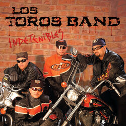 Cover of Indetenibles