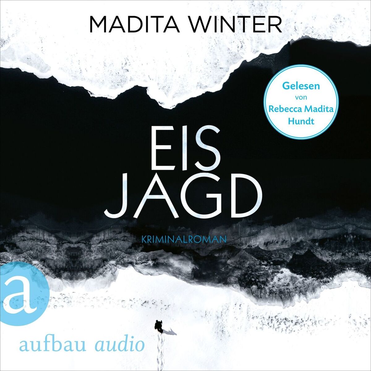 Album cover of Kapitel 1 - Eisjagd - Anelie Andersson ermittelt, Band 2