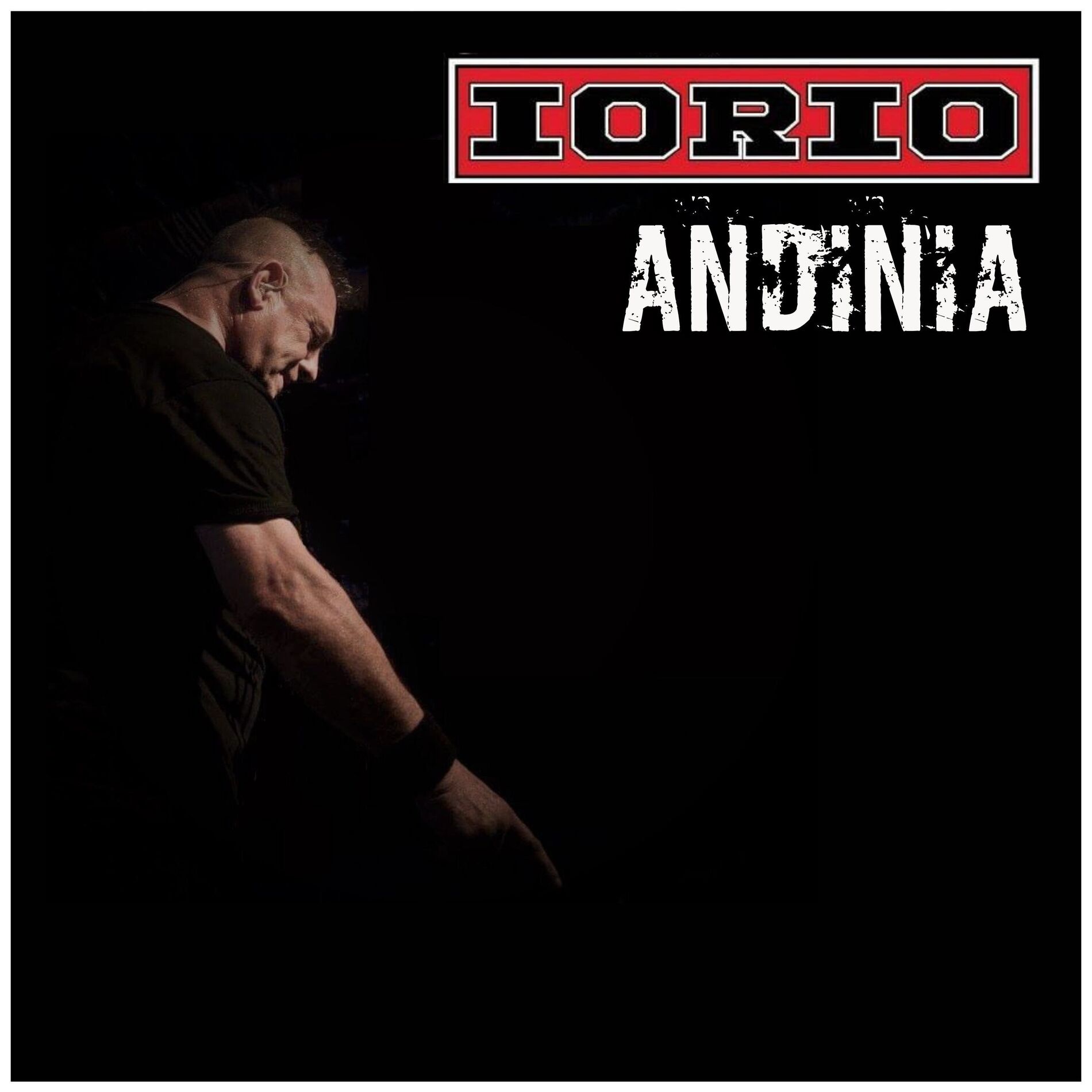 Album cover of Andinia
