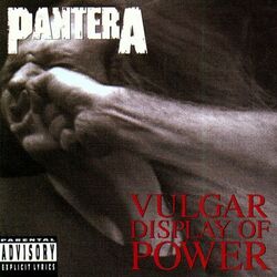 Cover of Vulgar Display of Power