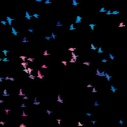 Cover of When the Birds Start Singing