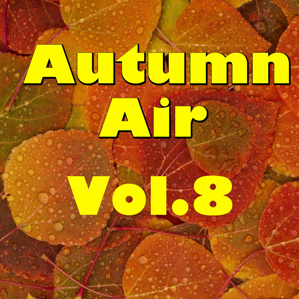 Album cover of Autumn Air, Vol.8