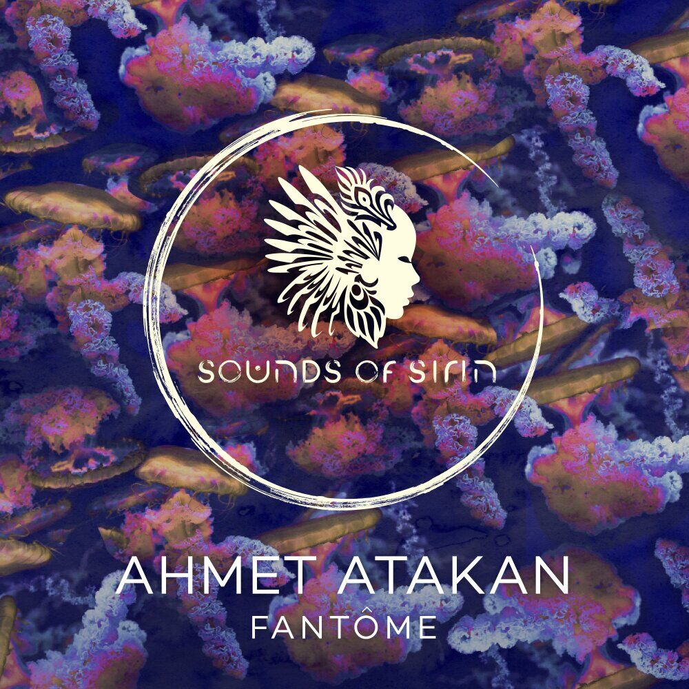 Picture of Fantôme