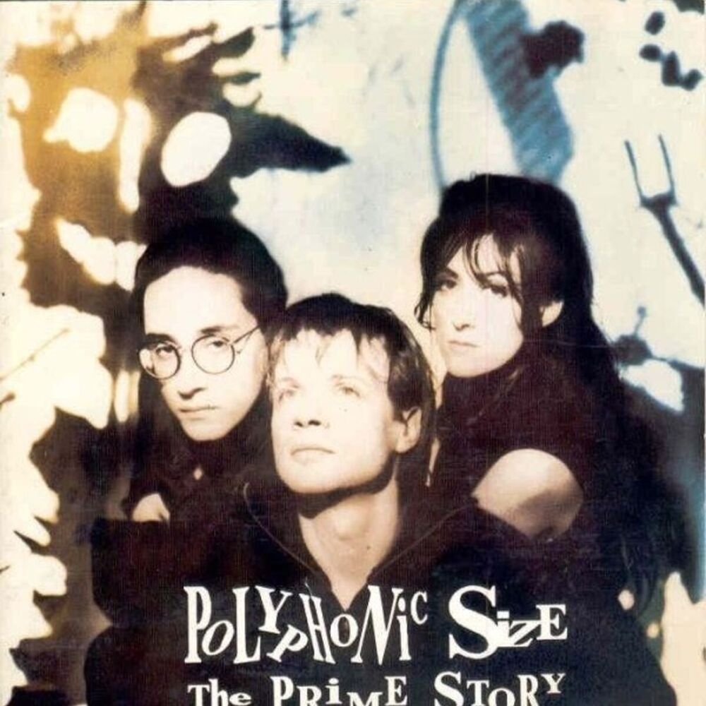 Picture of The Prime Story