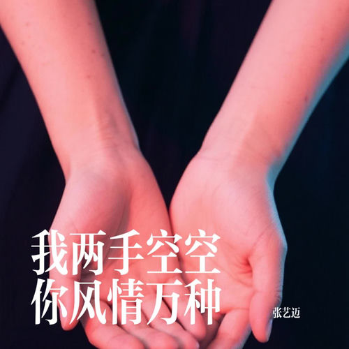 我两手空空你风情万种