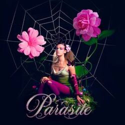 music cover