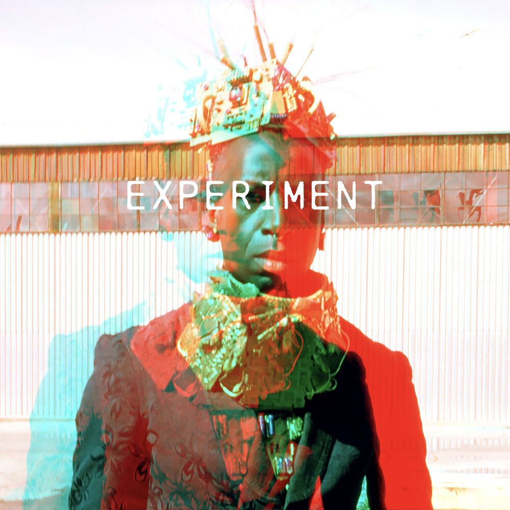 Picture of Experiment