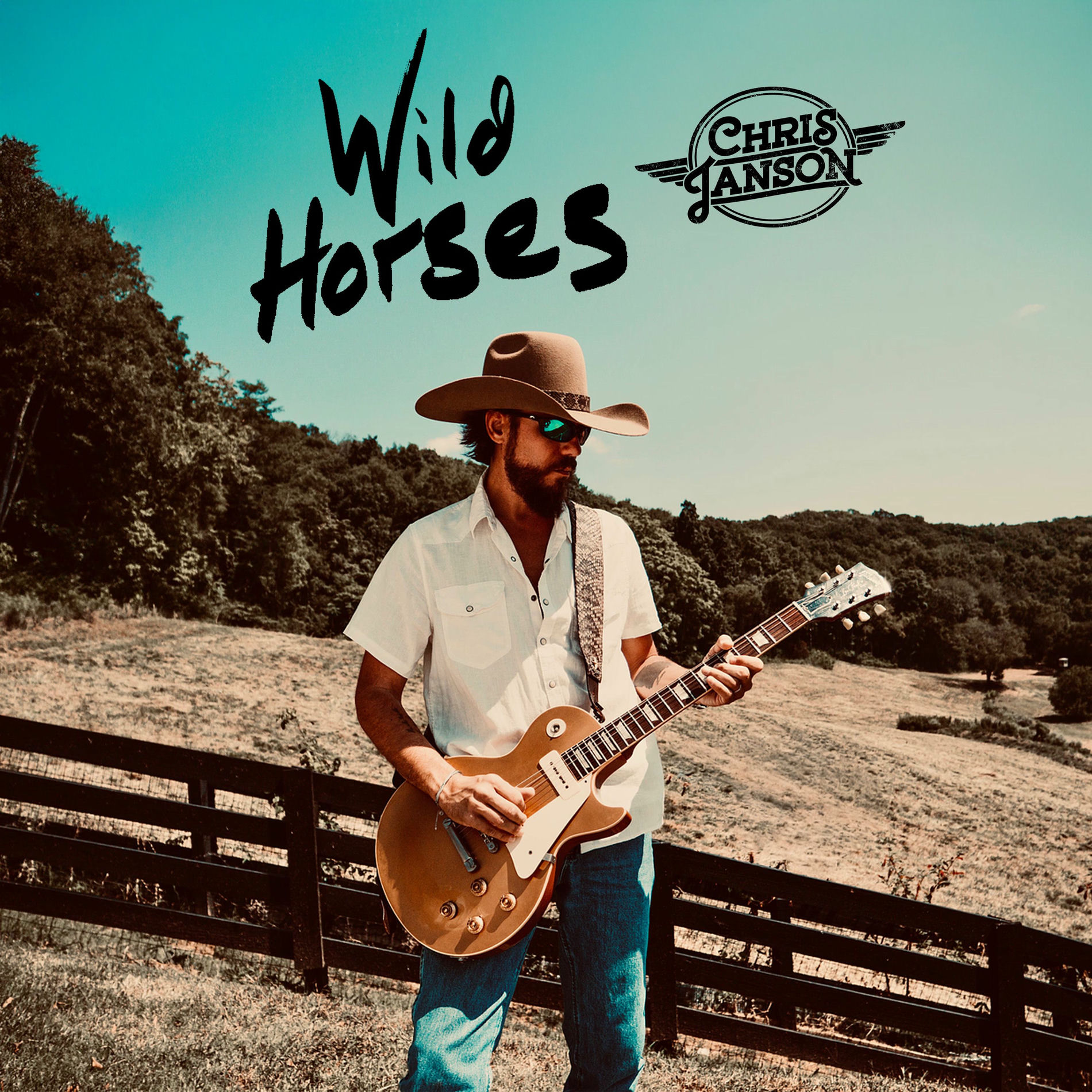 Album cover of Wild Horses