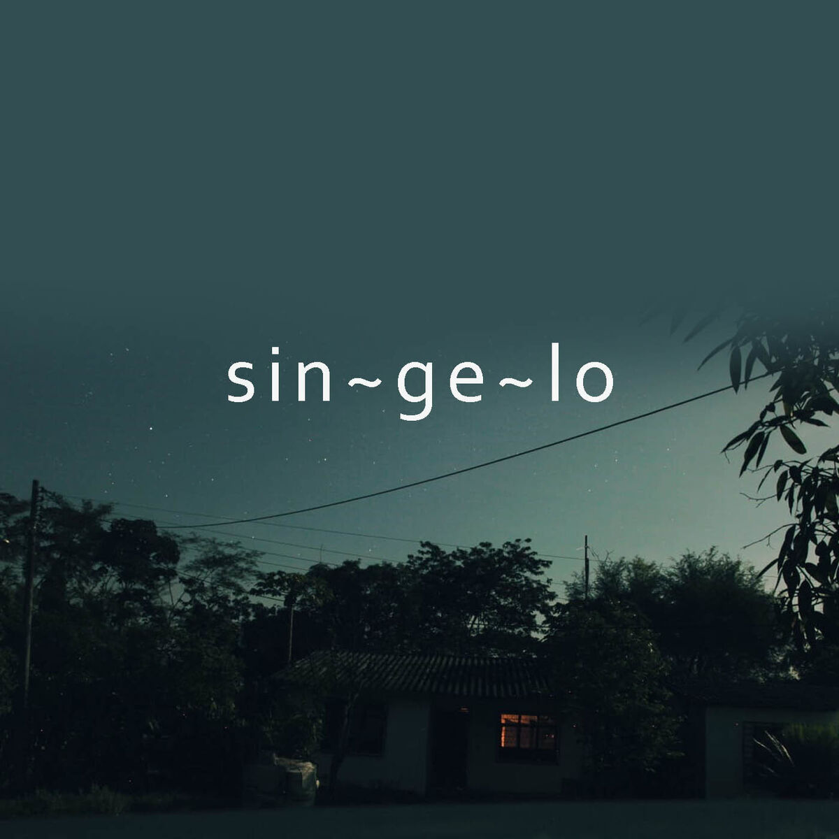 Album cover of Singelo
