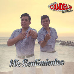 Cover of Mis Sentimientos