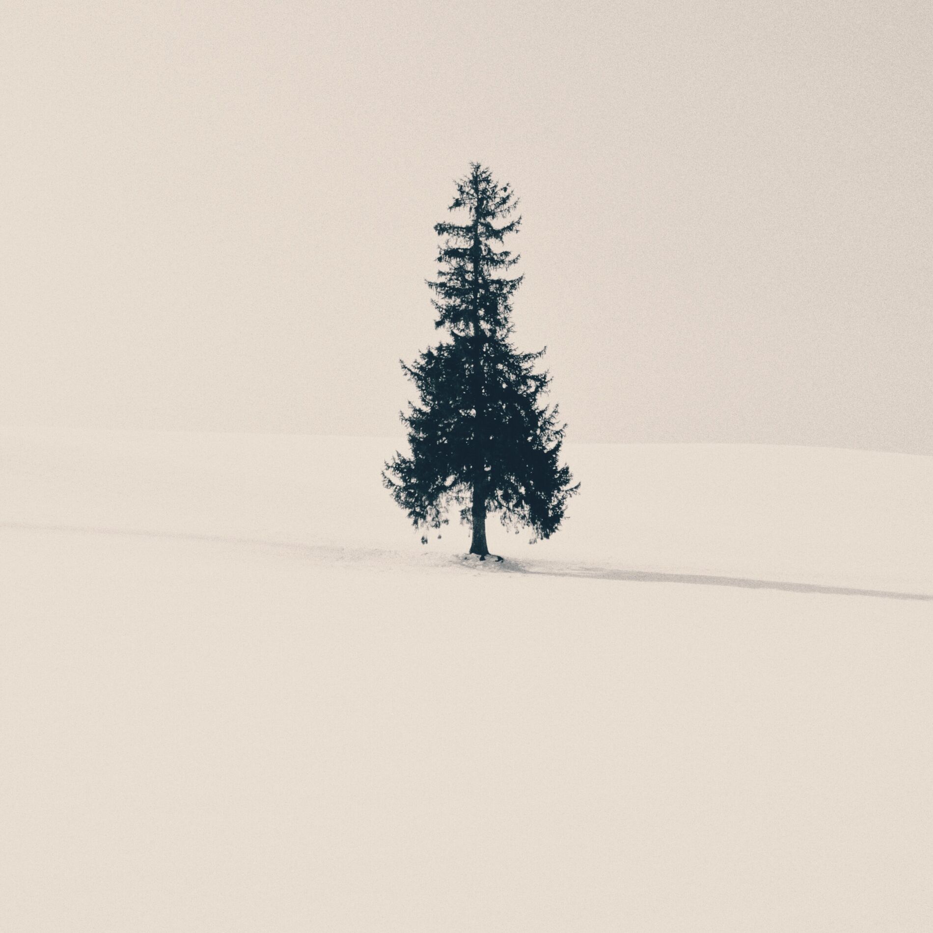 Album cover of Path of the Sun