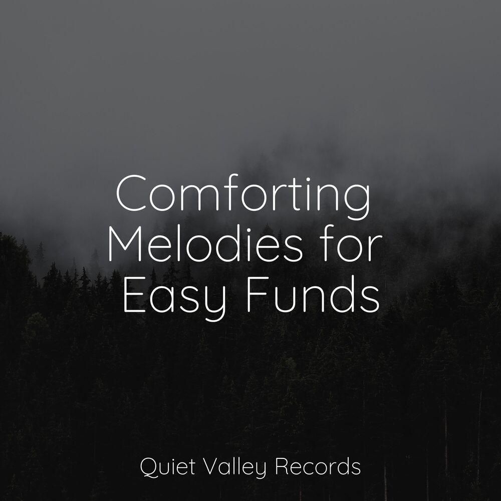 Picture of Comforting Melodies for Easy Funds