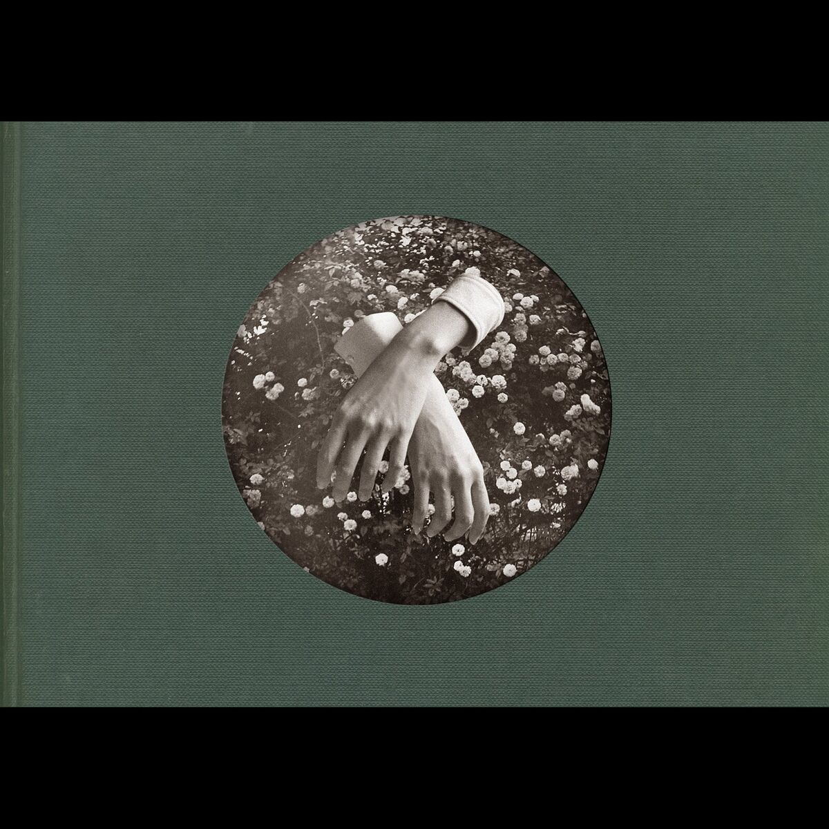 Album cover of Landscape With a Fairy