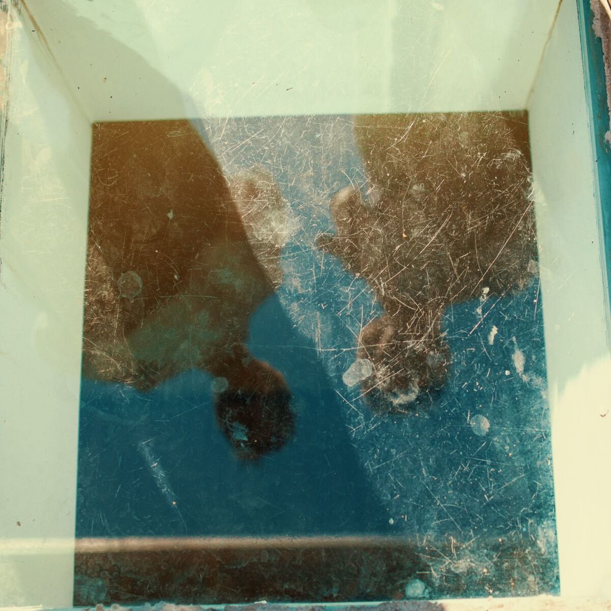 Album cover of Estético Mixtape