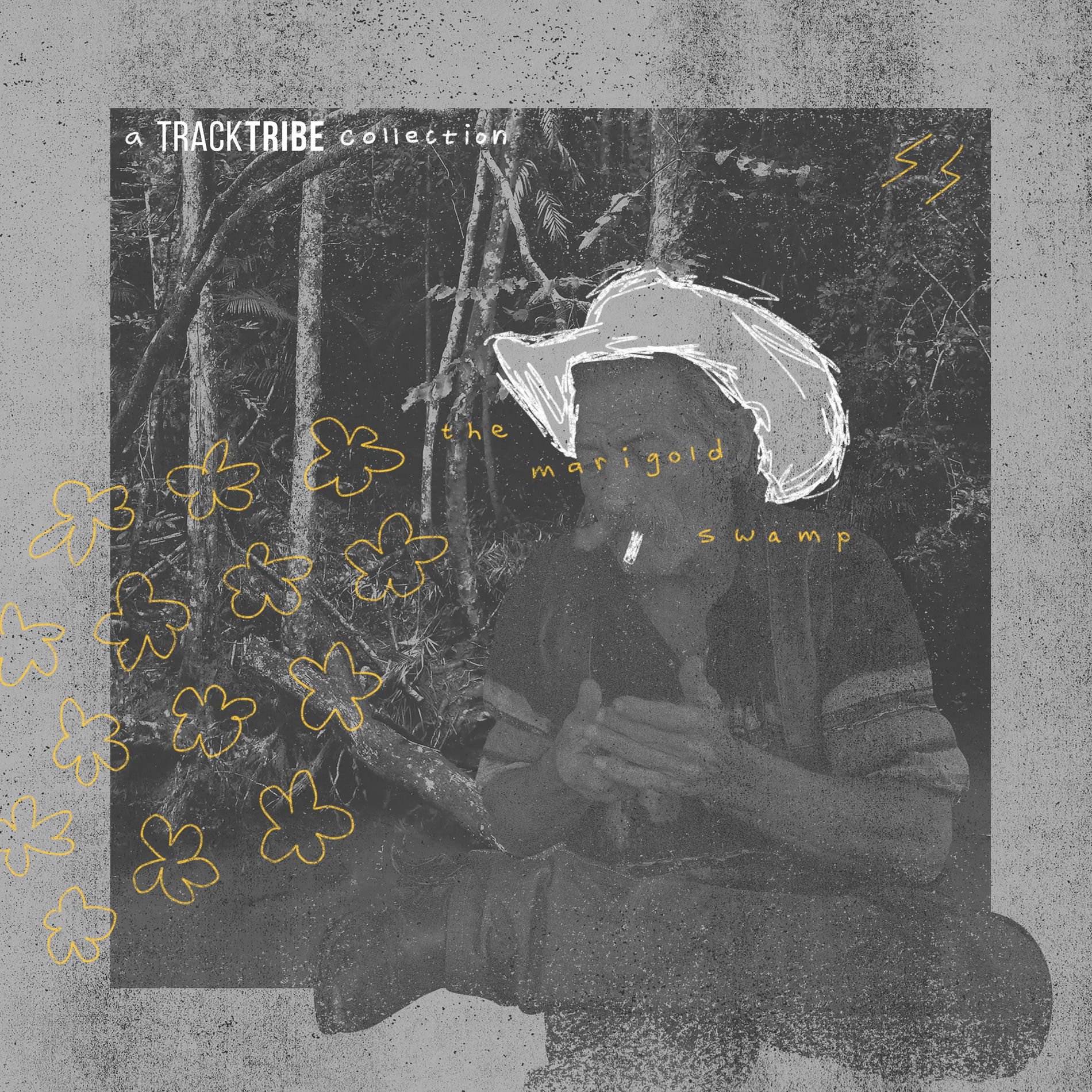 Album cover of The Marigold Swamp