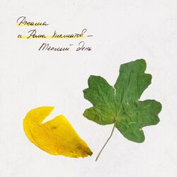 Cover of Теплый день