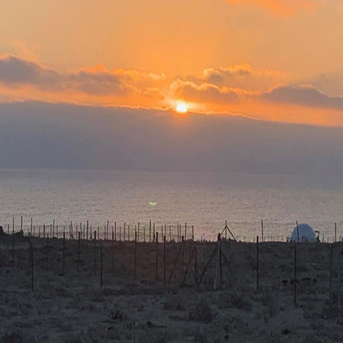 pacific sunset
