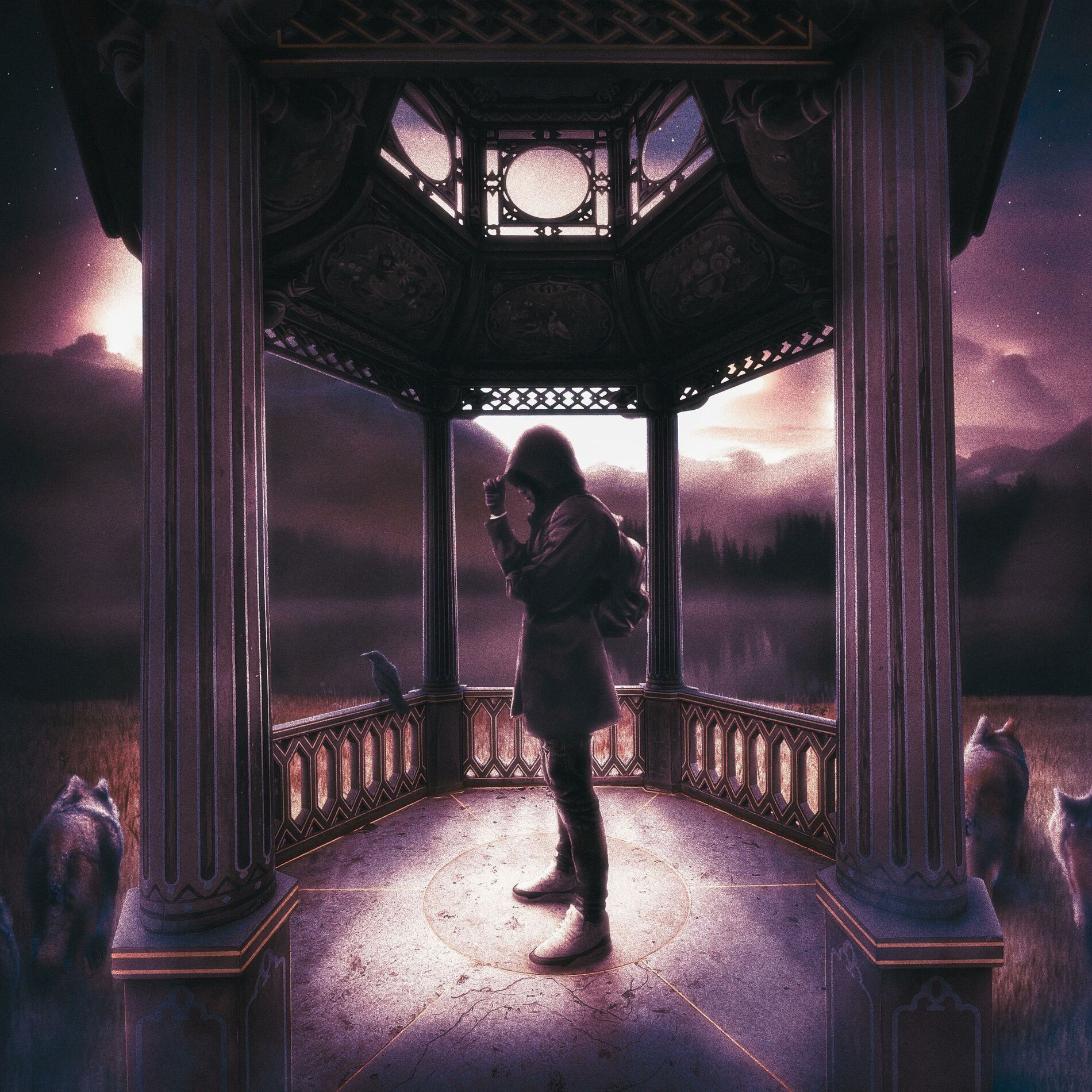 Album cover of Bingo