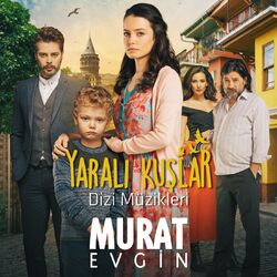 Cover of Yaralı Kuşlar (Orijinal Dizi Müzikleri)